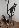 Details mit Bild