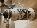 Details mit Bild