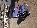 Details mit Bild