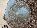 Details mit Bild