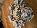 Details mit Bild
